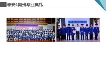 共享單車浮沉啟示錄 企業(yè)運營如何借鑒藝術策展思維